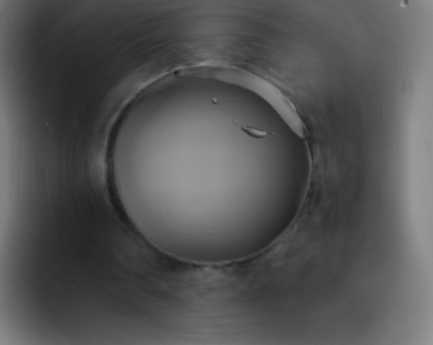 X0000093240290200710101427