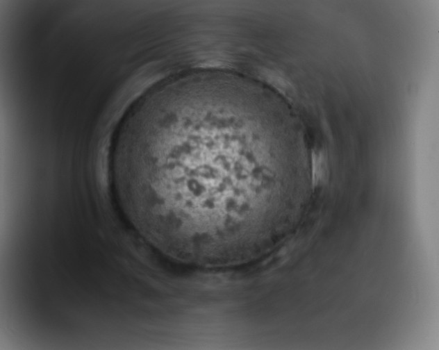 X0000093240291200710101427