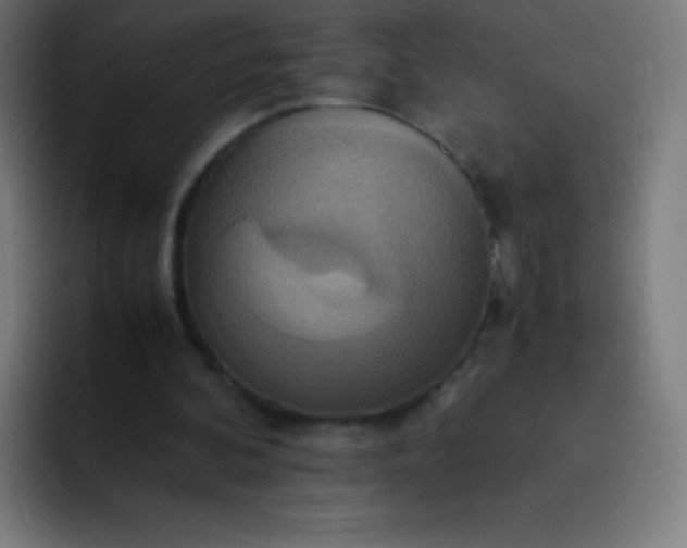 X0000093240292200710101427
