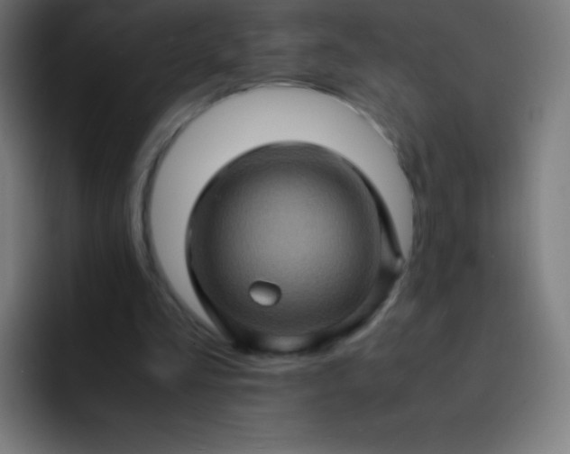 X0000093240293200710101427