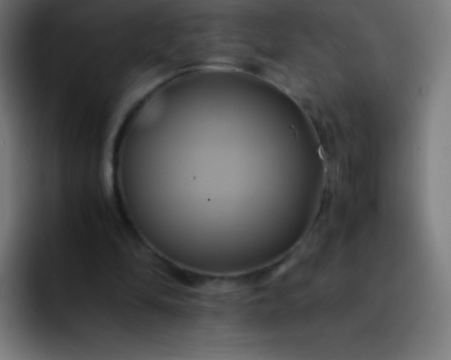 X0000093240294200710101427