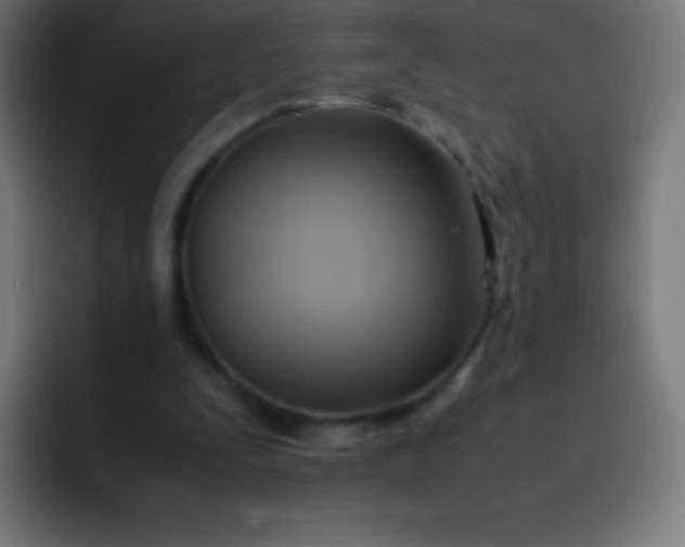 X0000093240295200710101427