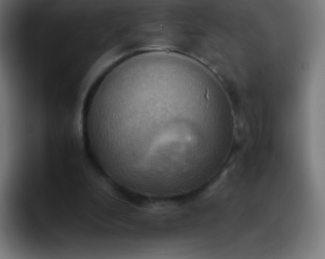 X0000093240296200710101427