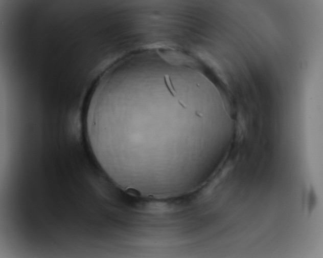 X0000093240298200710101427