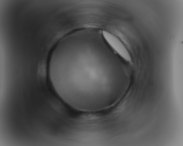 X0000093240299200710101427