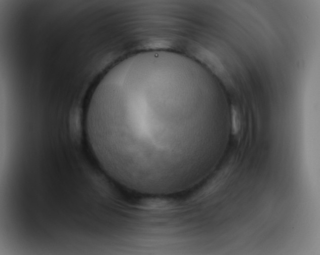X0000093240300200710101427