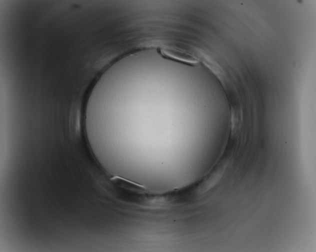 X0000093240301200710101427