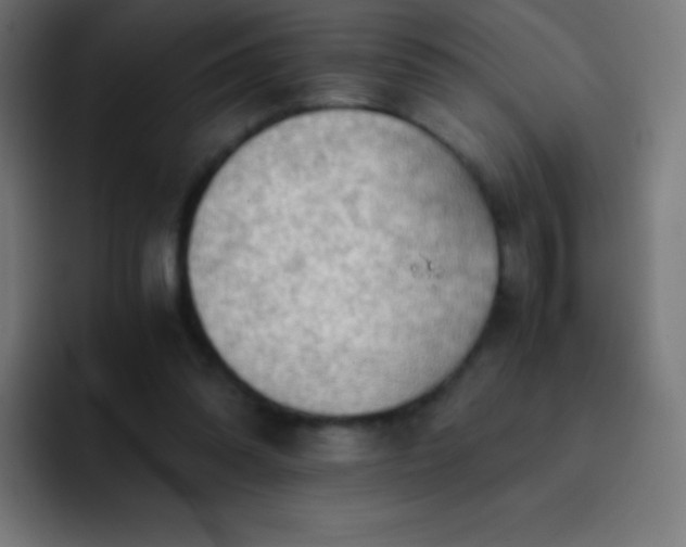 X0000093240302200710101427