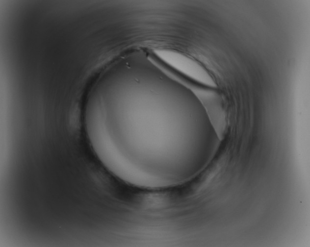 X0000093240303200710101427