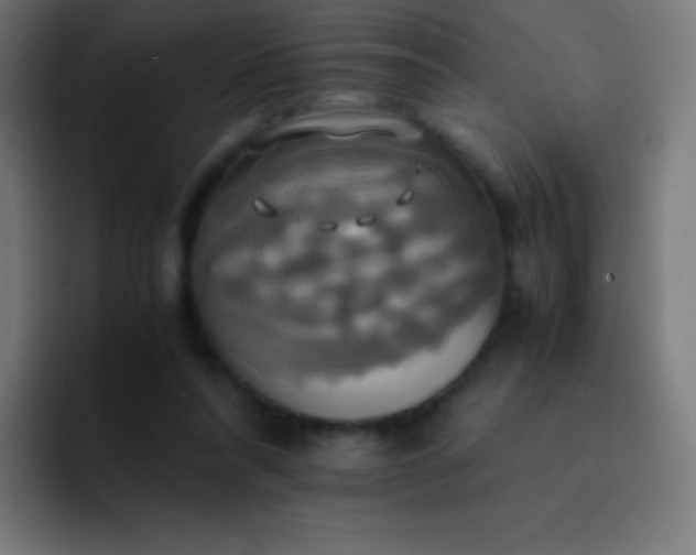 X0000093240304200710101427