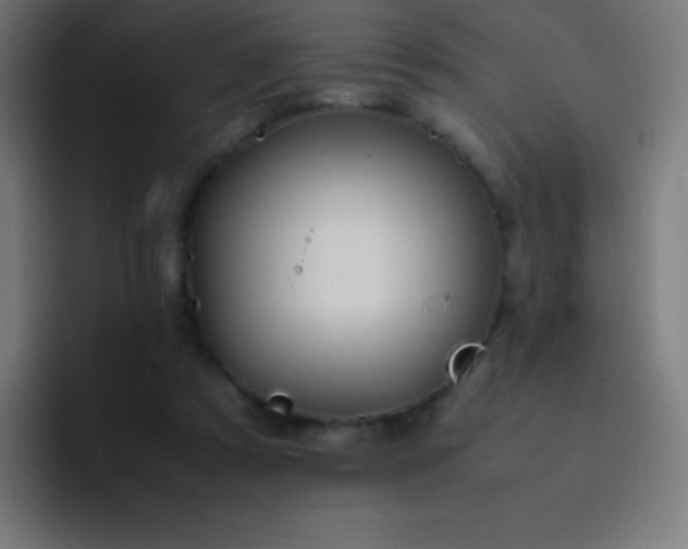 X0000093240305200710101427