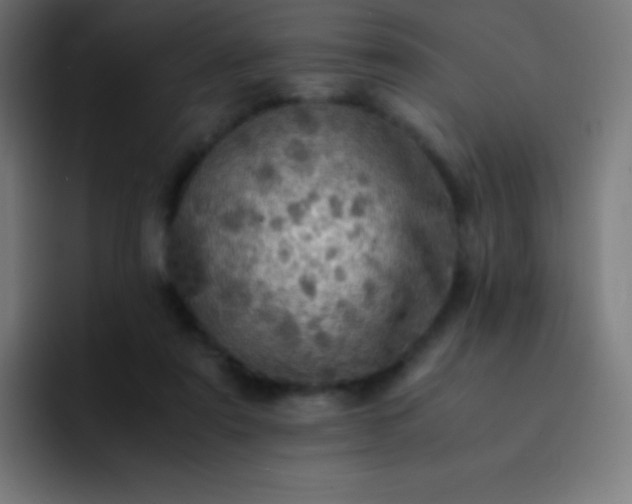 X0000093240307200710101427