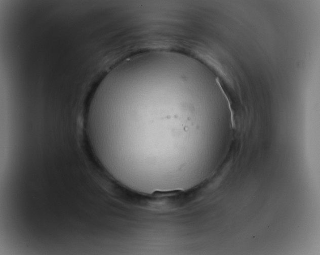 X0000093240309200710101427