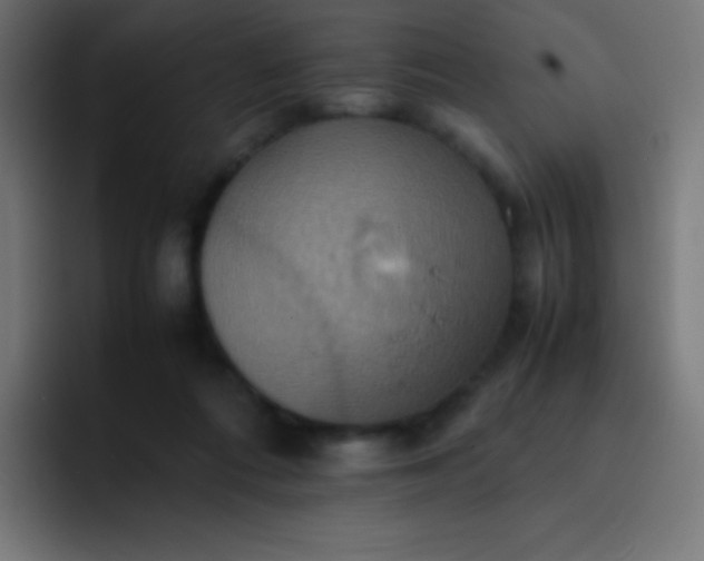 X0000093240312200710101427