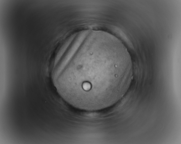 X0000093240313200710101427