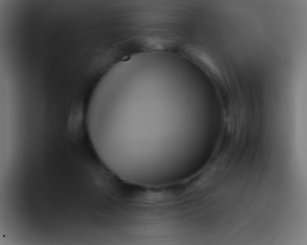 X0000093240314200710101427