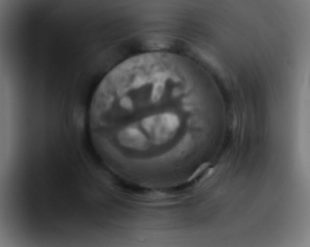 X0000093240315200710101427
