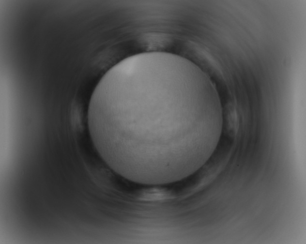 X0000093240316200710101426