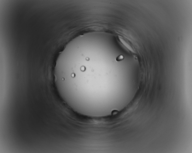 X0000093240317200710101426