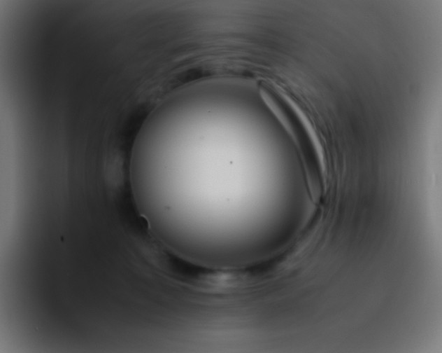 X0000093240323200710101426