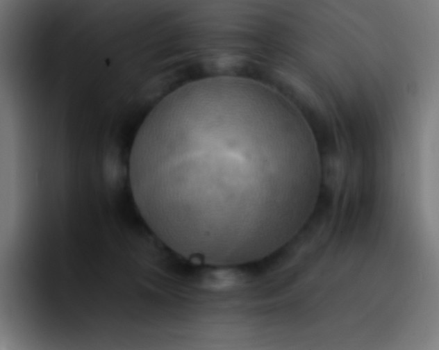 X0000093240324200710101426