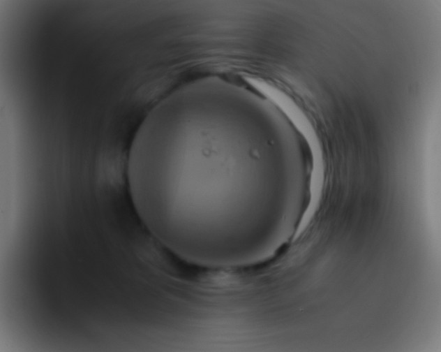 X0000093240325200710101426