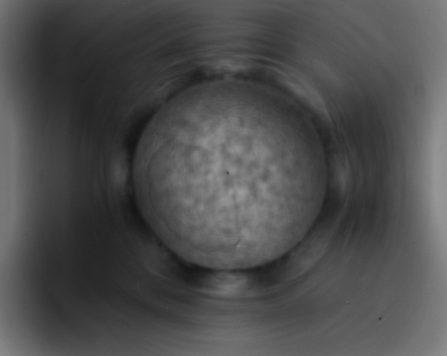 X0000093240328200710101426