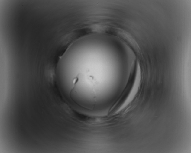 X0000093240329200710101426