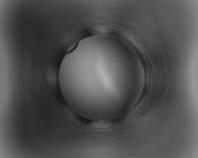 X0000093240331200710101426