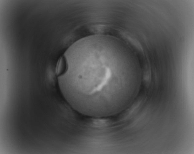 X0000093240332200710101426