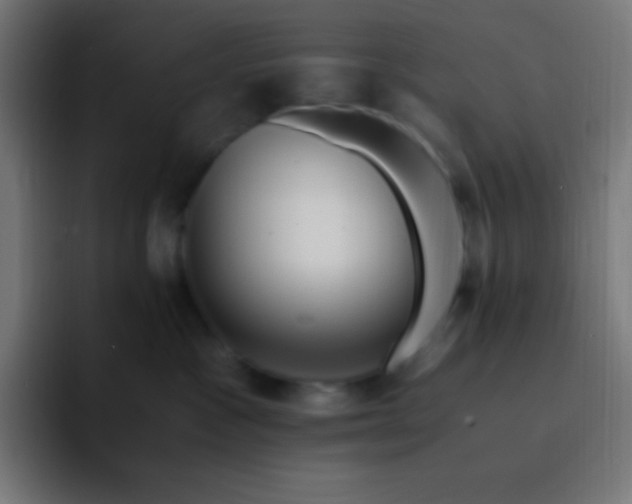 X0000093240333200710101426