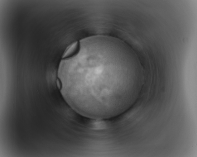 X0000093240336200710101426