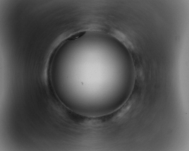X0000093240340200710101426