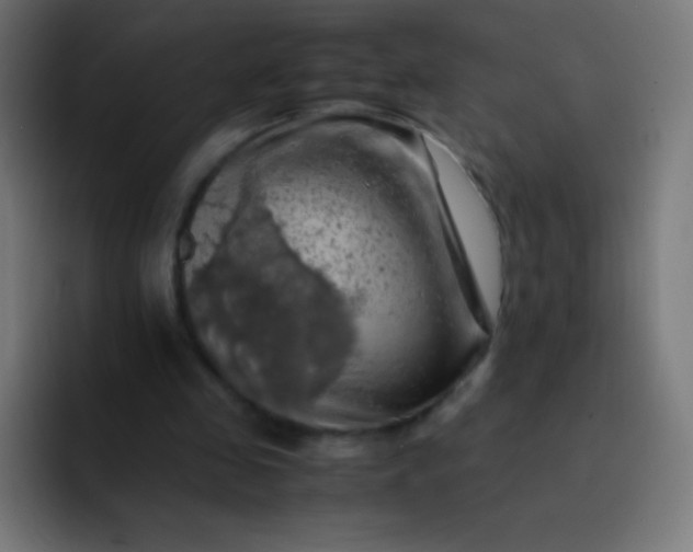 X0000093240341200710101426