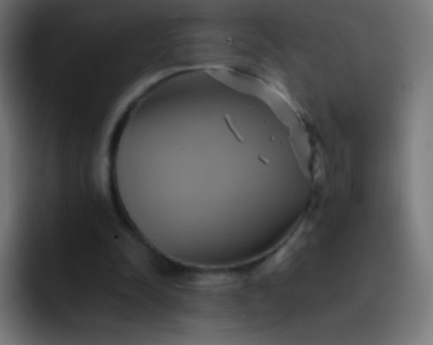 X0000093240342200710101426