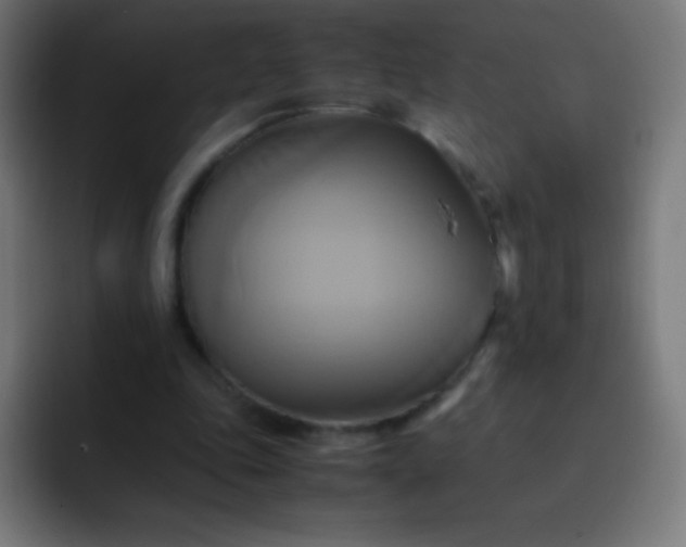 X0000093240343200710101426
