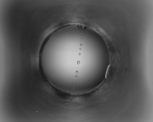 X0000093240344200710101426