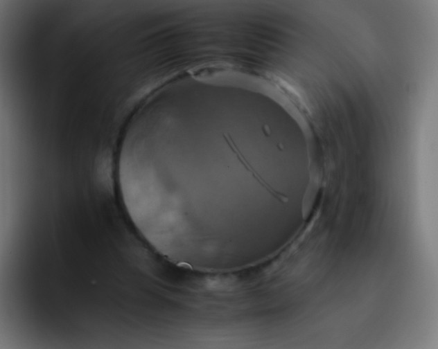 X0000093240345200710101426