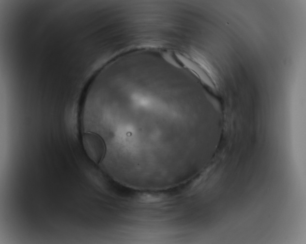 X0000093240346200710101426
