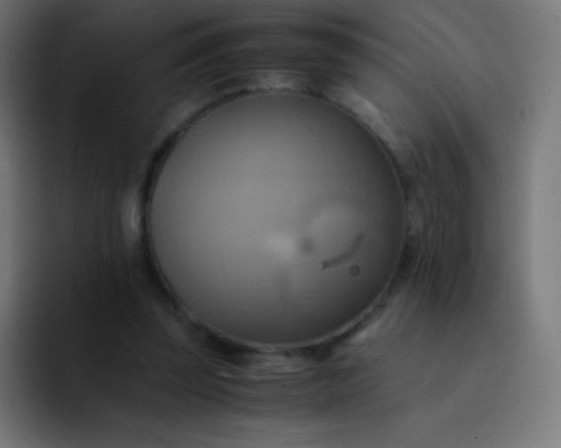 X0000093240347200710101426