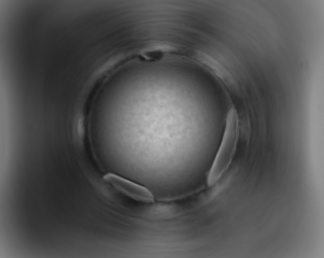 X0000093240350200710101426