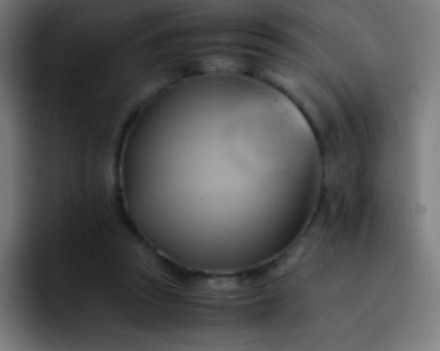 X0000093240353200710101426