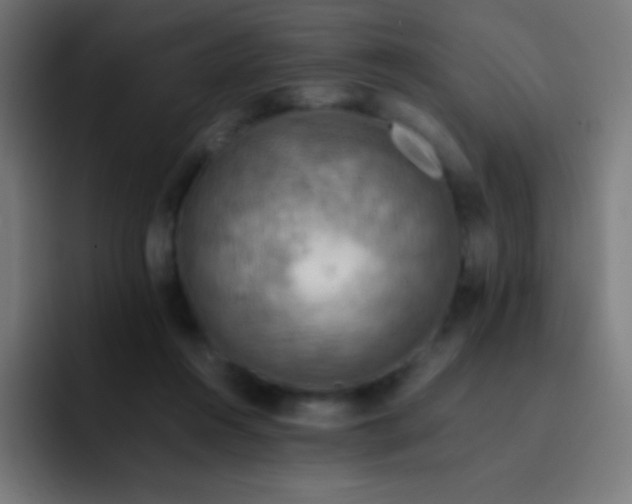 X0000093240360200710101426
