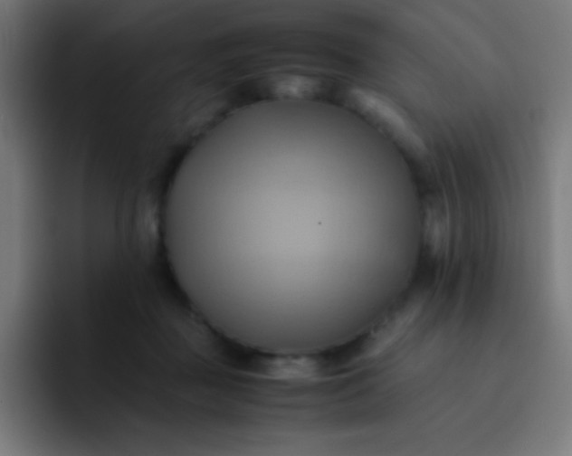 X0000093240363200710101426