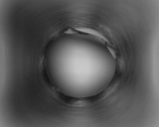 X0000093240364200710101426