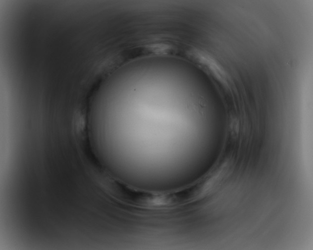 X0000093240365200710101426