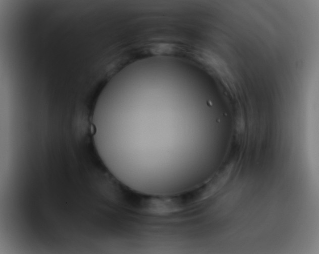 X0000093240367200710101426