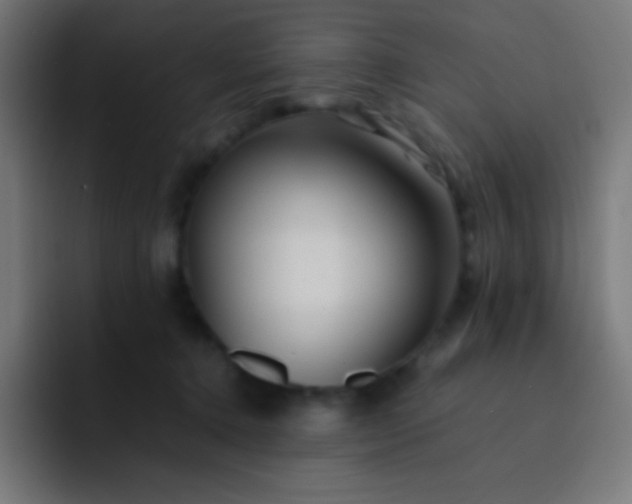 X0000093240368200710101426