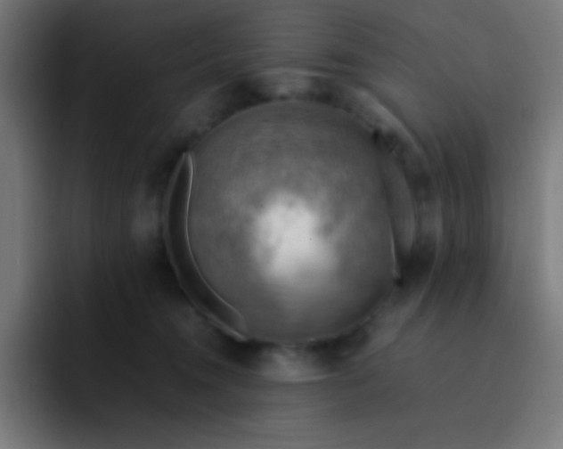 X0000093240372200710101426