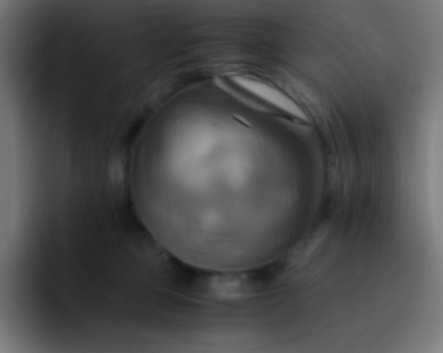 X0000093240373200710101426